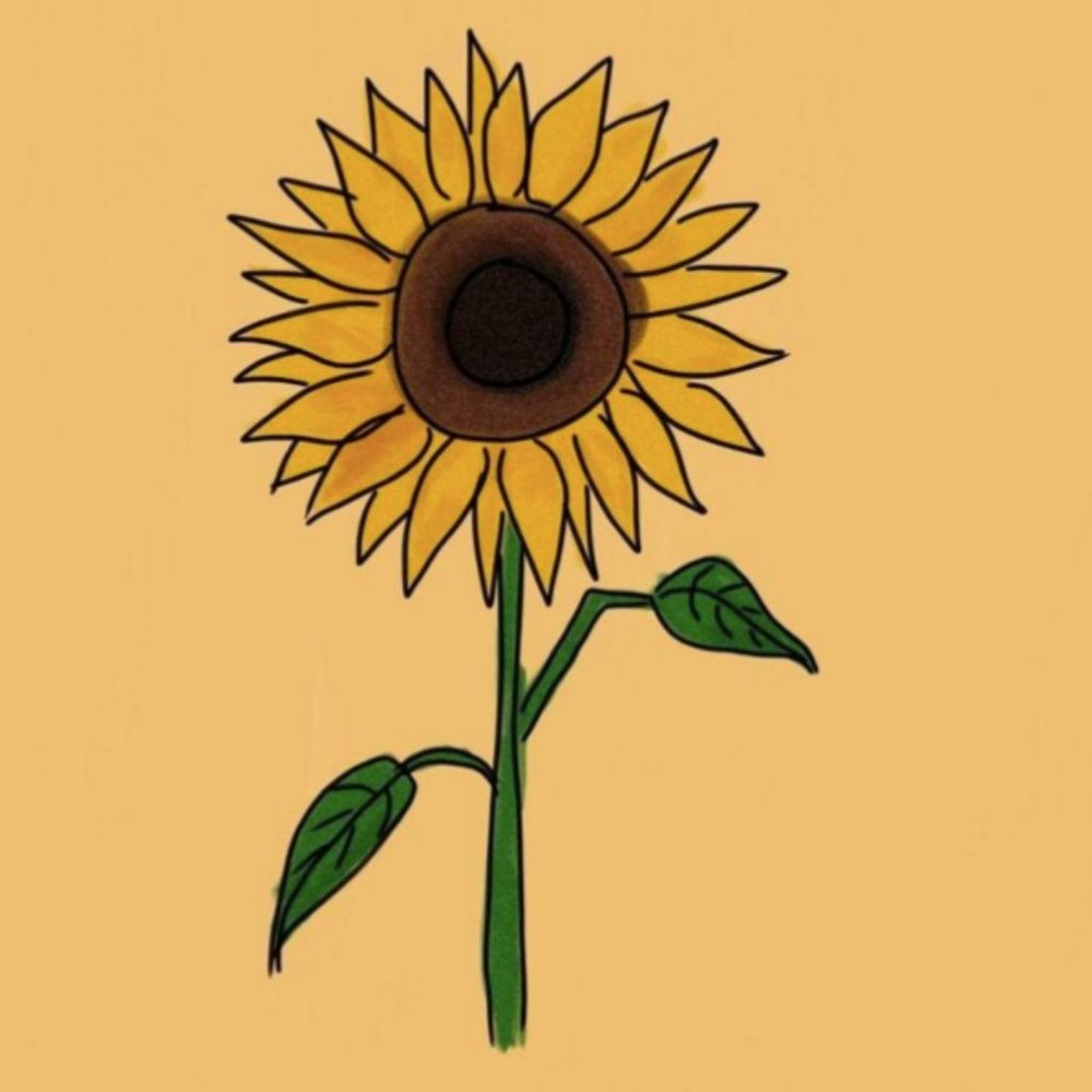 Meet your Posher, Midwest Steals